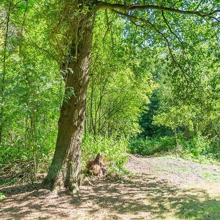 In With Garden View Vakantiehuis