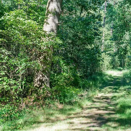 In With Garden View Lochem