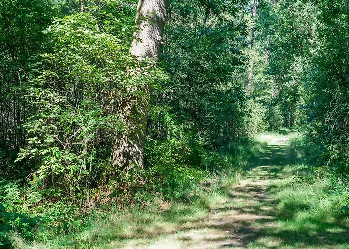 In With Garden View Lochem